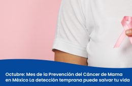 Banner blog mama