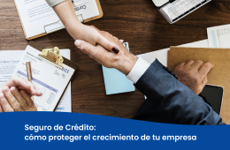 Banner blog fianzas-07